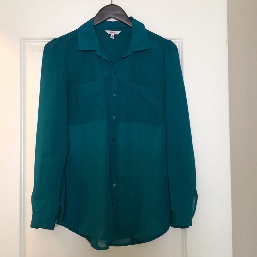 Gorgeous Teal Sheer Blouse